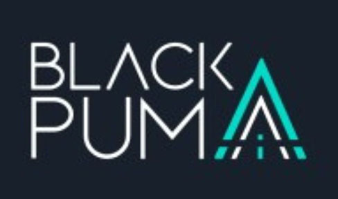 black-puma